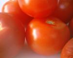 Un biólogo mexicano descubre tomates resistentes a la sequía