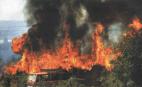 Gran Canaria fue la isla con más y peores incendios forestales en 2004